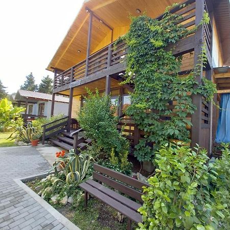Гостевой Дом Фазенда Pizunda Exterior photo