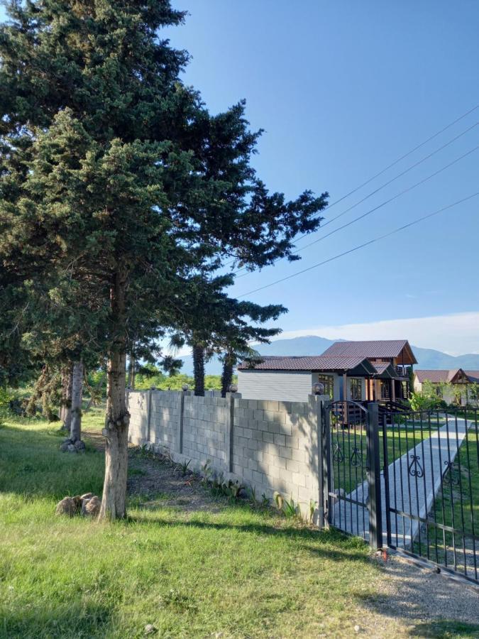 Гостевой Дом Фазенда Pizunda Exterior photo