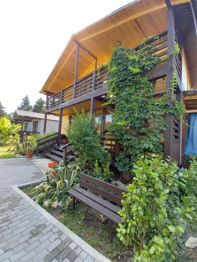 Гостевой Дом Фазенда Pizunda Exterior photo